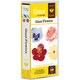 Cricut Projects Giant Flowers Cartridge