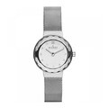 Skagen Women's 456SSS Stainless Steel Watch