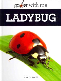 Ladybug (Hardcover)