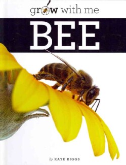 Bee (Hardcover)