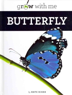 Butterfly (Hardcover)