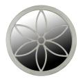 Sand Dollar Wall Mirror