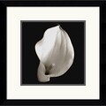 'Calla 4' Framed Art Print