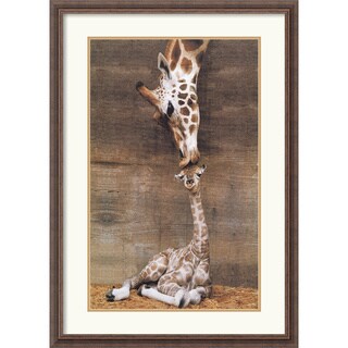 Ron D'Raine 'Makulu - Giraffe First Kiss' Framed Art Print