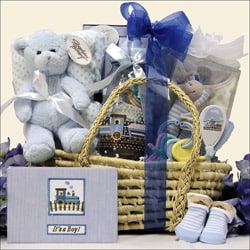 Gift Sets  Baby  on Baby Boy Essentials Gift Basket   Overstock Com Shopping   The Best