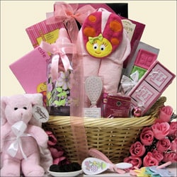 Gift Sets  Baby Girl on Congratulations Baby Girl Gift Basket   Overstock Com Shopping   The