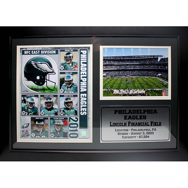 2013 Philadelphia Eagles Photo Stat Frame (12 x 18) 14195018 Shopping Great