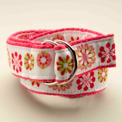 Crazy Daisy Kids D-Ring Belt-Image