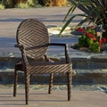 Christopher Knight Home Adriana Brown PE Wicker and Iron Frame Wide-legged Outdoor Chair