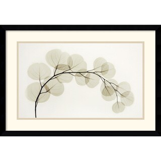 Albert Koetsier 'Eucalyptus II' Framed Art Print