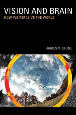 Vision and Brain: How We Perceive the World (Paperback)