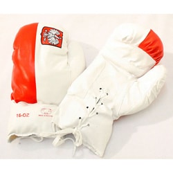 Defender 16-ounce Polish Flag Boxing Gloves-Image