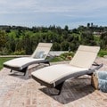 Christopher Knight Home Outdoor Brown Wicker Adjustable Chaise Lounge with Cushions (Set of 2)