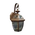 One Light Dark Brick Wall Lantern