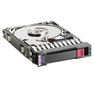 HP 300 GB 2.5" Internal Hard Drive