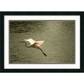 Andy Magee 'Crane' Framed Art Print