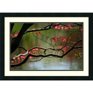 Andy Magee 'Dogwood in Bloom' Framed Art Print