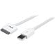 StarTech.com 3m (10 ft) Long Apple? 30-pin Dock Connector to USB Cabl