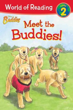 Meet the Buddies (Paperback)
