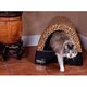 Kitty A GoGo Leopard-print Plastic Stationary Designer Cat Litter Box