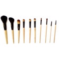 Fortuna 10-piece Birch Pony, Goat & Taklon Hair Makeup Brush Set