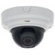 AXIS P3364-V Network Camera - Color, Monochrome