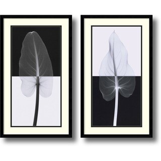 Steven N. Meyers 'Calla Leaves Set' Framed Art Print