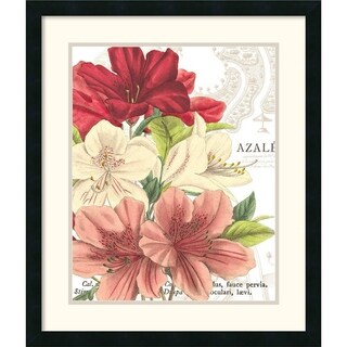 Wild Apple Portfolio 'Azalee Jardin II' Framed Art Print