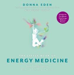 The Little Book of Energy Medicine: The Essential Guide to Balancing Your Body's Energies (Paperback)