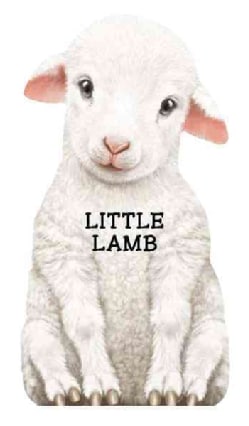 This Little Lamb (Board book)