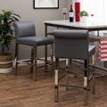 Cosmopolitan Stainless Steel Charcoal Snake Leather Counter Stools (Set of 2)