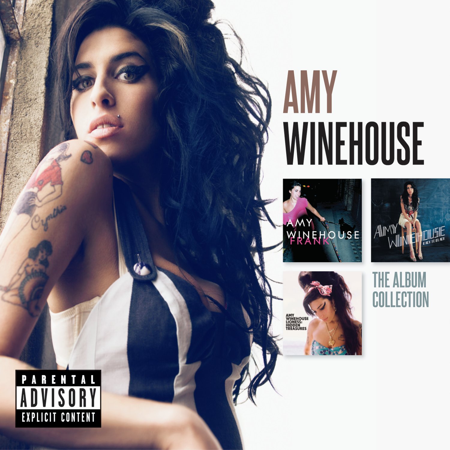Amy-Winehouse-The-Album-Collection-L6025