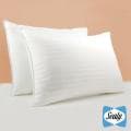 Sealy 'Won't Go Flat' 210 Thread Count Pillows (Set of 2)