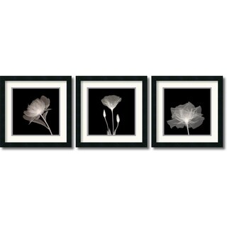 Buy  Translucent Floral Framed Art Print Set