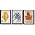 Craig Alan 'Harvest Trio' Framed Art Print Set