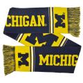 Michigan Wolverines Acrylic Scarf