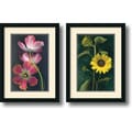 Christina Florkowski 'Tulips and Sunflowers' Framed Art Print Set