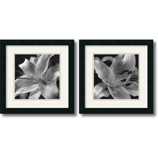 Gaetano Art Group 'Lily Set' Framed Art Print Set