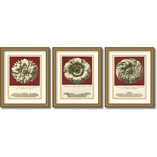 Cheap Guerra 'Rosone Antico' Framed Art Print Set 18 x 22-inch (Each)