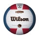 Wilson I Cor Power Touch Volleyball