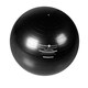 Zenzation 65 cm Exercise Ball Black