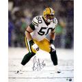 Steiner Sports AJ Hawk Packers At the Line in Snow 16x20 Vertical Photograph