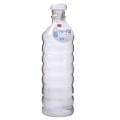 Glass Refillable Water Bottle