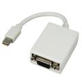 White Mini Display Port to VGA Male/ Female Adapter