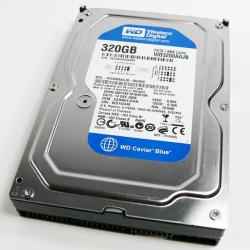 Western Digital 7200 RPM 320GB Hard Drive