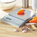 Salter Electronic Stainless Steel Scale