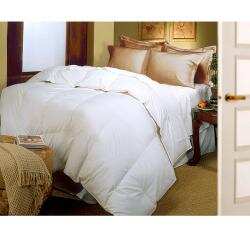 Oversized 370 Thread Count Supima Cotton Natural Down Blend Comforter