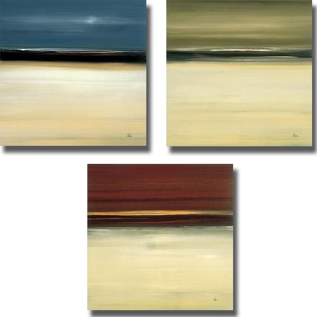 Lisa Ridgers Prevalent Finding I, II, and III 3 piece Canvas Art Set