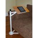 Calico Designs White/ Maple Calico Tech Stand