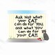 Ask Not What Your Cat T-Shirt